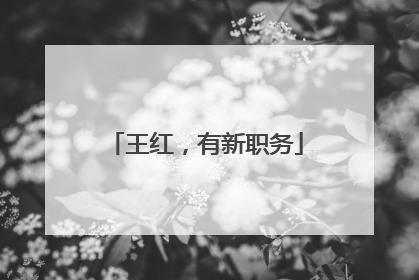 王红，有新职务