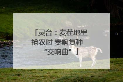 灵台：麦茬地里抢农时 奏响复种“交响曲”