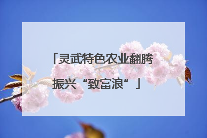 灵武特色农业翻腾振兴“致富浪”