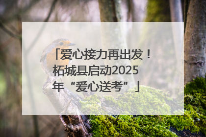 爱心接力再出发！柘城县启动2025年“爱心送考”