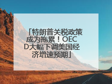 特朗普关税政策成为拖累！OECD大幅下调美国经济增速预期