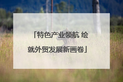 特色产业领航 绘就外贸发展新画卷