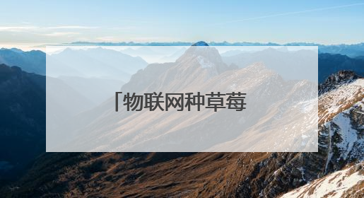 物联网种草莓 大数据卖黄瓜 临沂“四雁孵化”工程链动乡村共富