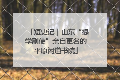 短史记｜山东“提学副使”亲自更名的平原闲道书院