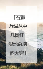 石狮：万绿丛中几树红 湿地荷塘韵无穷