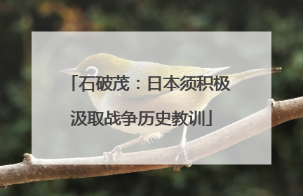 石破茂：日本须积极汲取战争历史教训