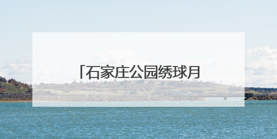 石家庄公园绣球月季竞相绽放 市民乐享夏日缤纷美景