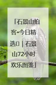 石景山拍客•今日精选⑲｜石景山72小时欢乐图鉴