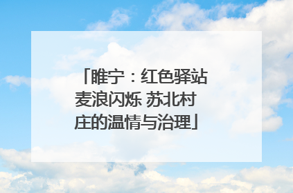 睢宁：红色驿站麦浪闪烁 苏北村庄的温情与治理