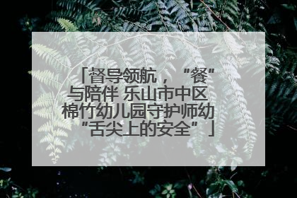 督导领航，“餐”与陪伴 乐山市中区棉竹幼儿园守护师幼“舌尖上的安全”