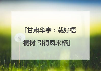 甘肃华亭：栽好梧桐树 引得凤来栖