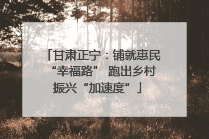 甘肃正宁：铺就惠民“幸福路” 跑出乡村振兴“加速度”