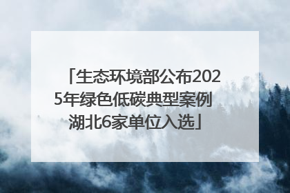 生态环境部公布2025年绿色低碳典型案例 湖北6家单位入选