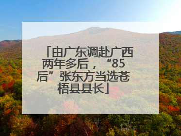 由广东调赴广西两年多后，“85后”张东方当选苍梧县县长