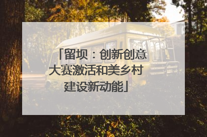 留坝：创新创意大赛激活和美乡村建设新动能