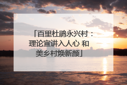 百里杜鹃永兴村：理论宣讲入人心 和美乡村焕新颜