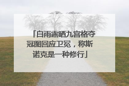 白雨露晒九宫格夺冠图回应卫冕，称斯诺克是一种修行