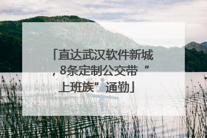 直达武汉软件新城，8条定制公交带“上班族”通勤