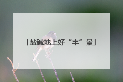 盐碱地上好“丰”景
