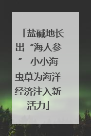 盐碱地长出“海人参” 小小海虫草为海洋经济注入新活力