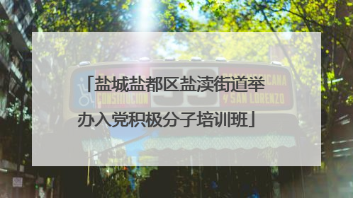 盐城盐都区盐渎街道举办入党积极分子培训班