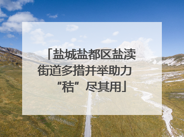 盐城盐都区盐渎街道多措并举助力“秸”尽其用