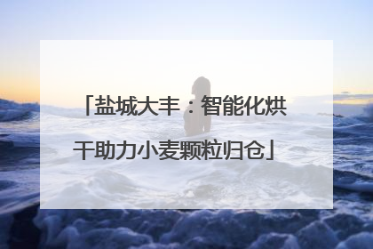 盐城大丰：智能化烘干助力小麦颗粒归仓