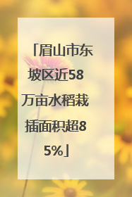眉山市东坡区近58万亩水稻栽插面积超85%