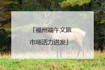 福州端午文旅市场活力迸发
