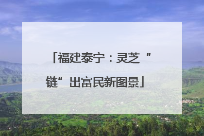 福建泰宁：灵芝“链”出富民新图景