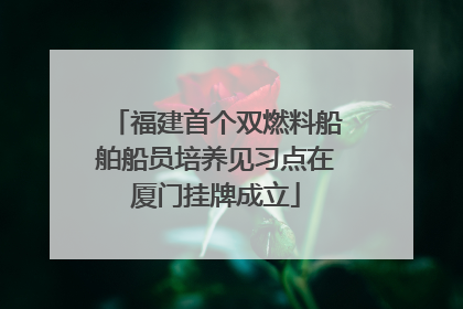 福建首个双燃料船舶船员培养见习点在厦门挂牌成立