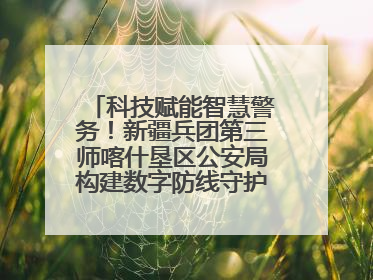科技赋能智慧警务！新疆兵团第三师喀什垦区公安局构建数字防线守护边疆平安