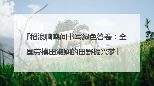 稻浪鸭鸣间书写绿色答卷：全国劳模田淑娴的田野振兴梦