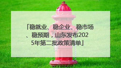 稳就业、稳企业、稳市场、稳预期，山东发布2025年第二批政策清单