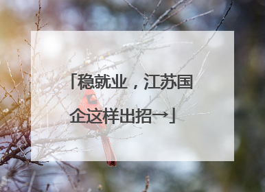 稳就业，江苏国企这样出招→