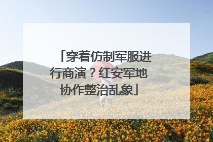 穿着仿制军服进行商演？红安军地协作整治乱象