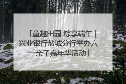 童趣田园 粽享端午｜兴业银行盐城分行举办六一亲子嘉年华活动