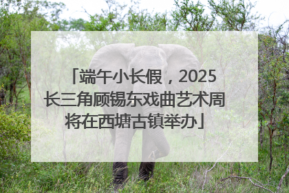 端午小长假，2025长三角顾锡东戏曲艺术周将在西塘古镇举办