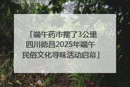 端午药市摆了3公里 四川德昌2025年端午民俗文化寻味活动启幕