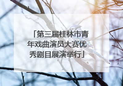 第三届桂林市青年戏曲演员大赛优秀剧目展演举行