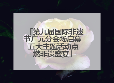 第九届国际非遗节广元分会场启幕 五大主题活动点燃非遗盛宴