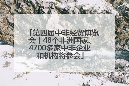 第四届中非经贸博览会丨48个非洲国家、4700多家中非企业和机构将参会