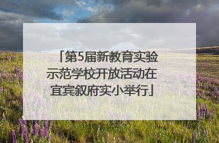 第5届新教育实验示范学校开放活动在宜宾叙府实小举行