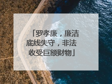 罗孝廉，廉洁底线失守，非法收受巨额财物