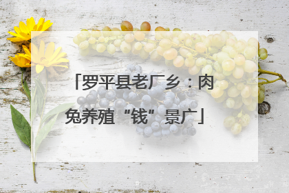 罗平县老厂乡：肉兔养殖“钱”景广