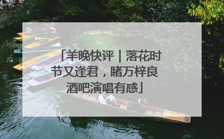 羊晚快评｜落花时节又逢君，睹万梓良酒吧演唱有感