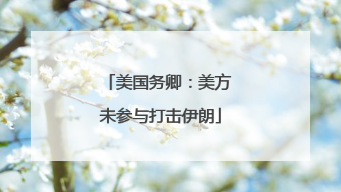 美国务卿：美方未参与打击伊朗