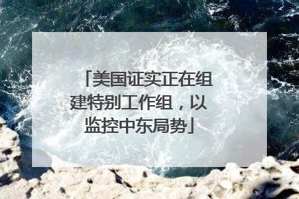 美国证实正在组建特别工作组，以监控中东局势