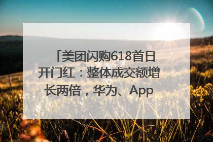 美团闪购618首日开门红：整体成交额增长两倍，华为、Apple、沃尔玛等近800个品牌翻倍增长