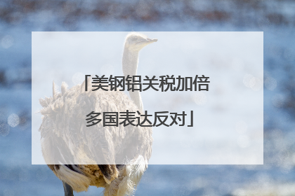 美钢铝关税加倍 多国表达反对